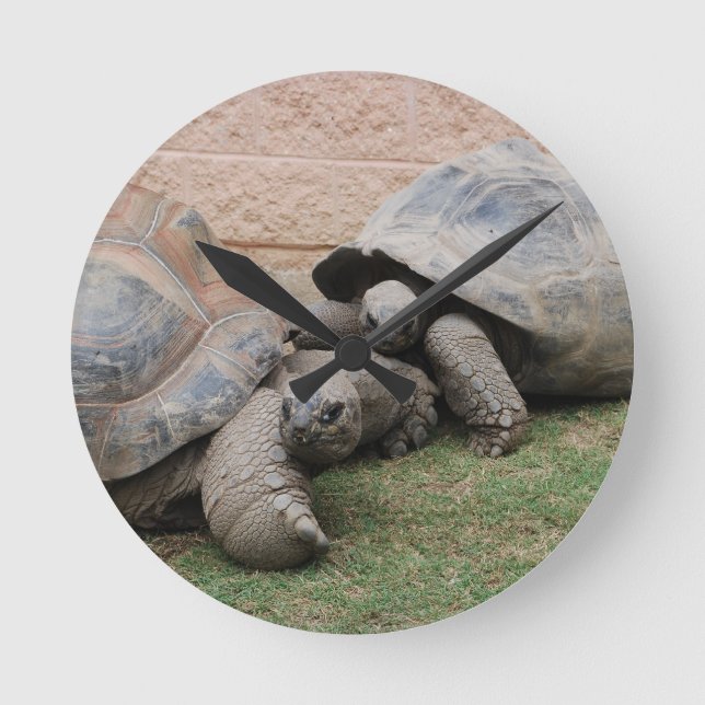 giant tortoises round clock (Front)