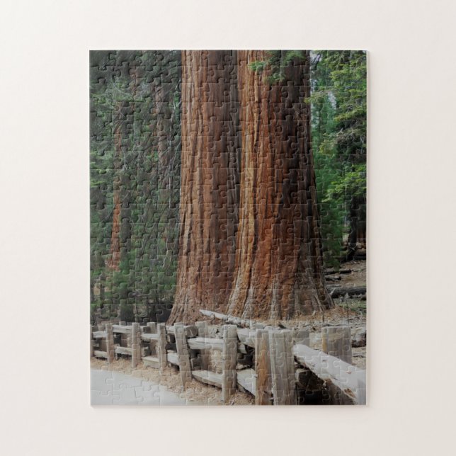 Giant Trees at Sequoia/Kings Canyon National Park Jigsaw Puzzle (Vertical)