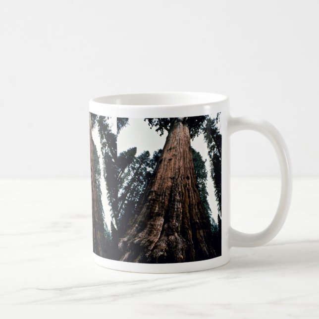 Giant Trees - Sequoia National Park Coffee Mug (Right)