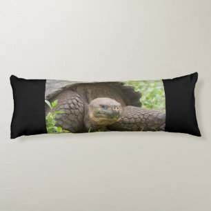 Giant turtle body pillow