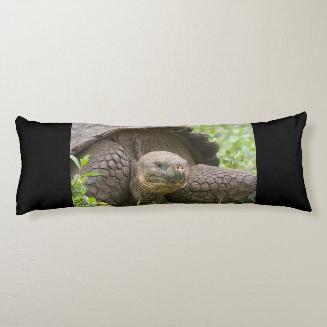 Giant turtle body pillow (Back)