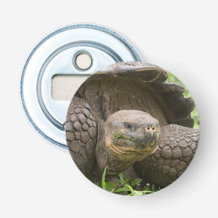 Giant turtle bottle opener