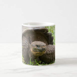 Giant turtle coffee mug