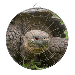 Giant turtle dartboard