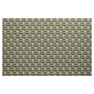 Giant turtle fabric