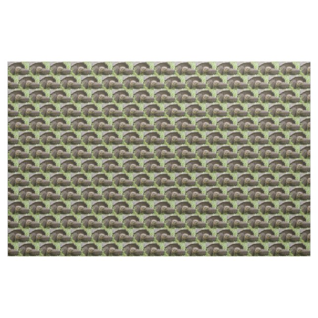 Giant turtle fabric (Yard)