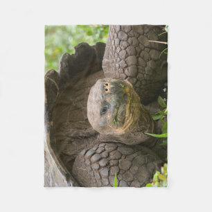 Giant turtle fleece blanket