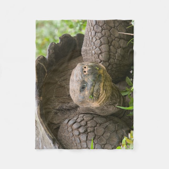 Giant turtle fleece blanket (Front)