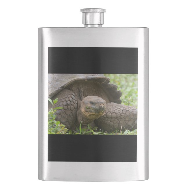Giant turtle hip flask (Front)