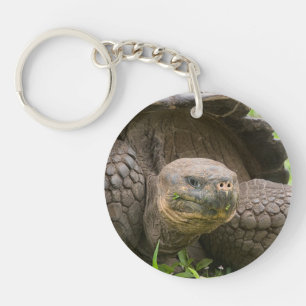 Giant turtle keychain