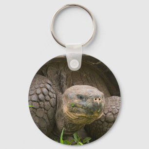 Giant turtle keychain
