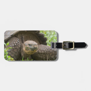 Giant turtle luggage tag