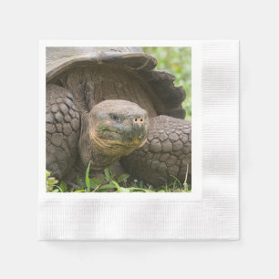 Giant turtle napkin