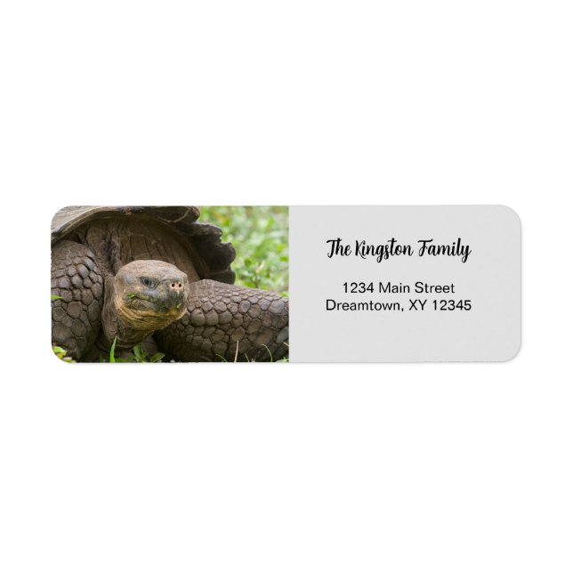 Giant Turtle photo personnalisée Adresse de retour (Devant)