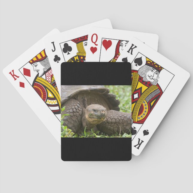 Giant turtle playing cards (Back)