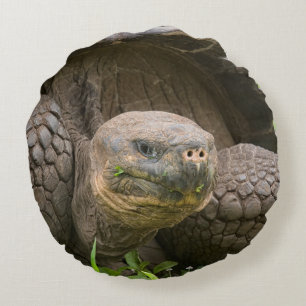 Giant turtle round pillow