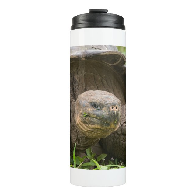 Giant turtle thermal tumbler (Front)