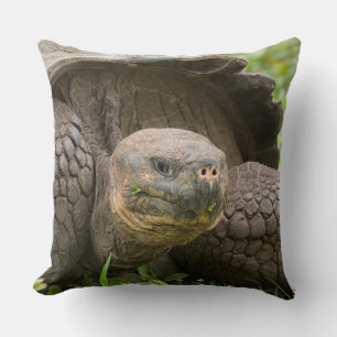Giant turtle throw pillow