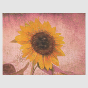 Giant Vintage Sunflower Pink Yellow Texture Tissue Paper