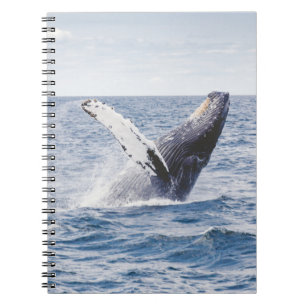 Giant Whale Jumps Out Of Ocean Notebook