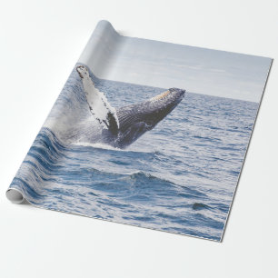Giant Whale Jumps Out Of Ocean  Wrapping Paper