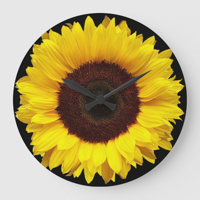 Giant Yellow Garden Sunflower on Black Background Large Clock (Front)