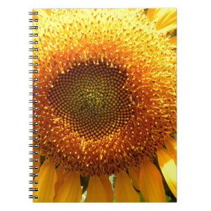 Giant yellow mammoth Sunflower Notebook