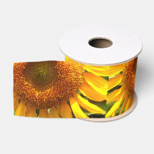 Giant yellow mammoth sunflower photo grosgrain ribbon
