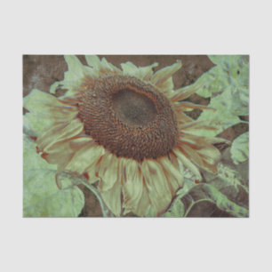 Giant Yellow Sunflower Brown Texture Art Decoupage Tissue Paper