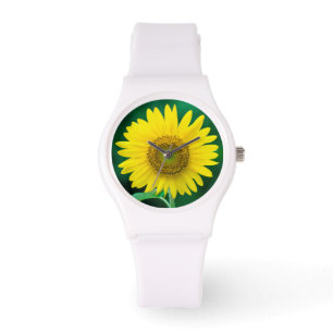 Giant Yellow Sunflower in Summer Watch
