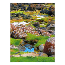 Giant's Causeway- View 2