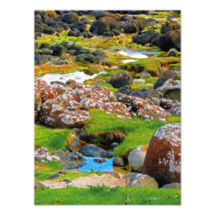 Giant's Causeway- View 2 Photo Print
