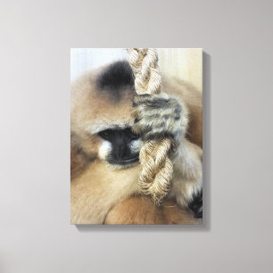 GIBBON CANVAS PRINT