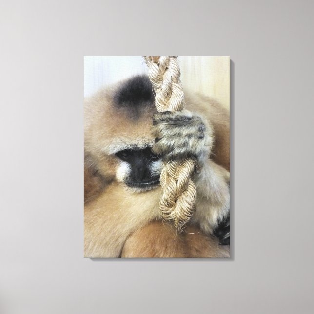 GIBBON CANVAS PRINT (Front)
