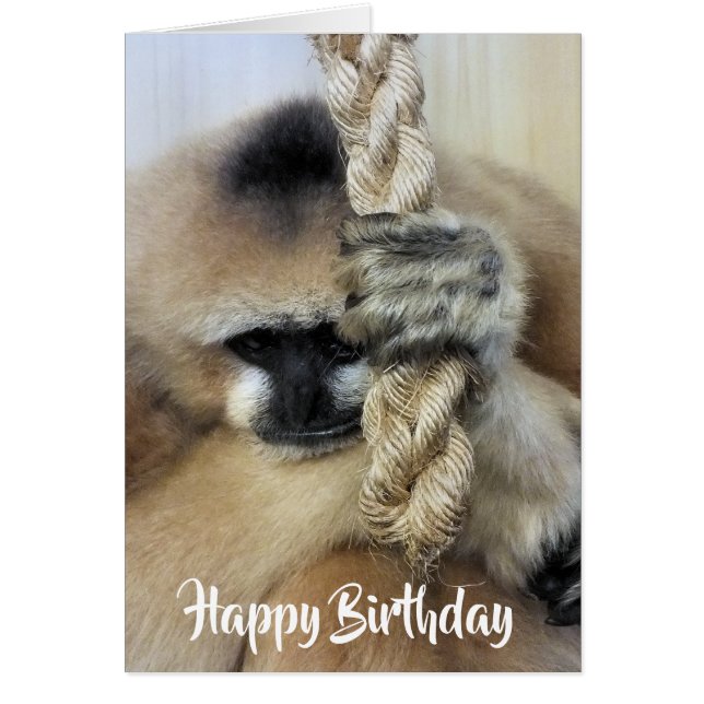 GIBBON CARD (Front)