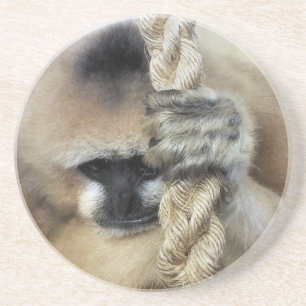 GIBBON COASTER