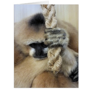 GIBBON GREETINGS CARD