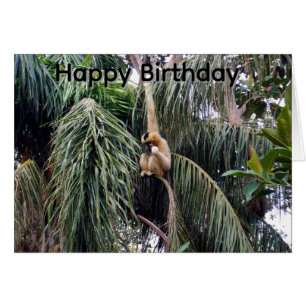 Gibbon Just Hanging Around, Birthday Card