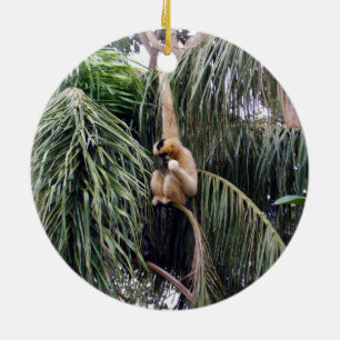 Gibbon Monkey Just Hanging Around, Ceramic Ornament