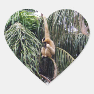 Gibbon Monkey Just Hanging Around, Heart Sticker