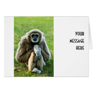 Gibbon, parlons du sens de la vie...