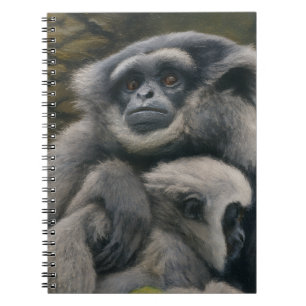 Gibbon Shelter – Emotional Wildlife Portrait Notebook