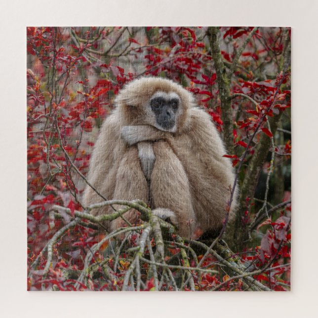 Gibbon's Solitude Jigsaw Puzzle (Vertical)