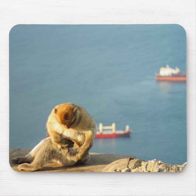 Gibraltar Barbary ape Mouse Pad (Front)