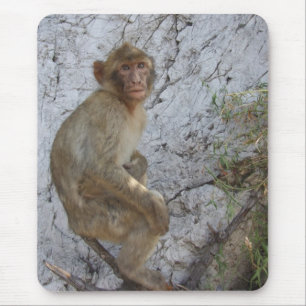 Gibraltar Monkey mousepad