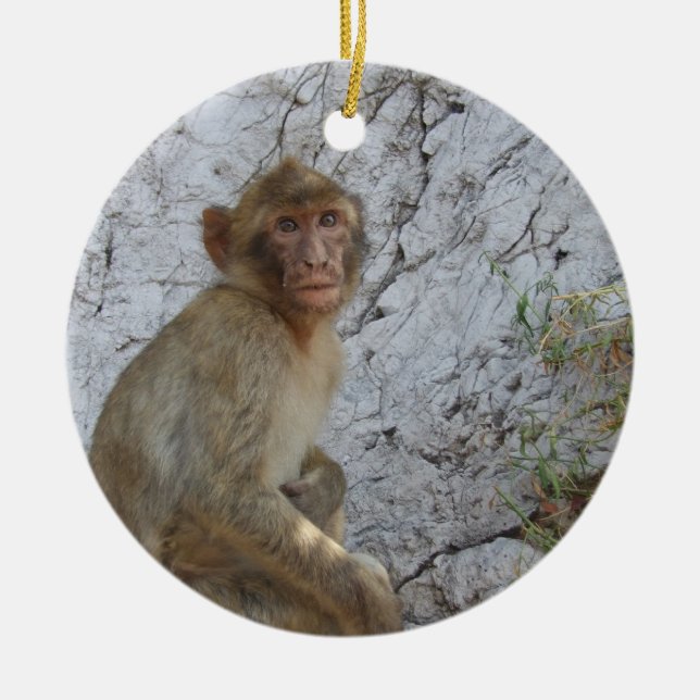 Gibraltar Monkeys ornament (Front)