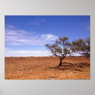 Gidyea in the Simpson Desert poster