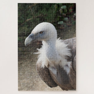Gier, Jigsaw Puzzle