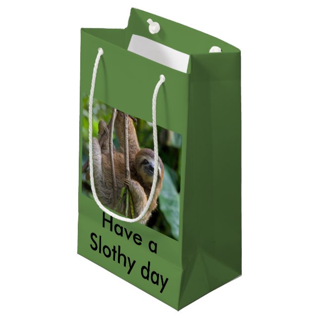 Gift bag for your sloths friends (Front Angled)