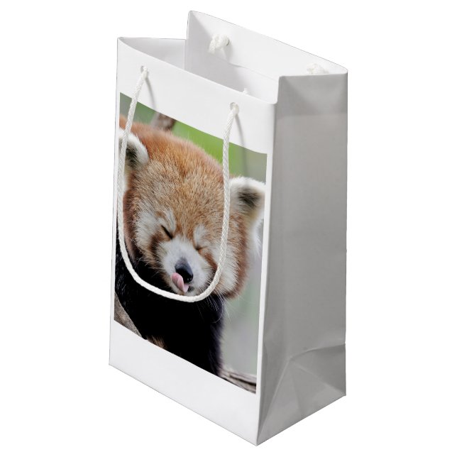 Gift Bag Photo red panda , animals 0269. (Back Angled)